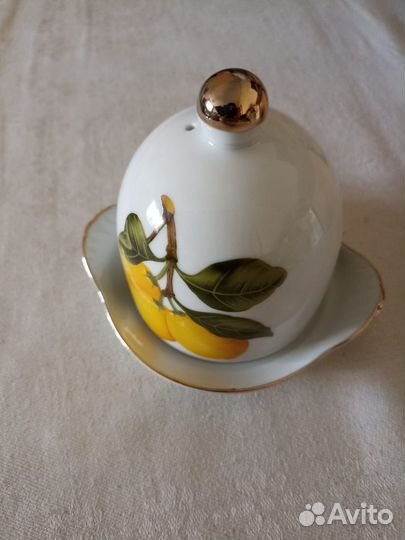 Лимонница фарфоровая