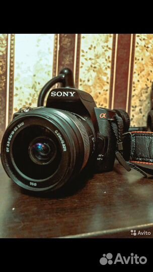Аренда зеркального фотоаппарата sony a290