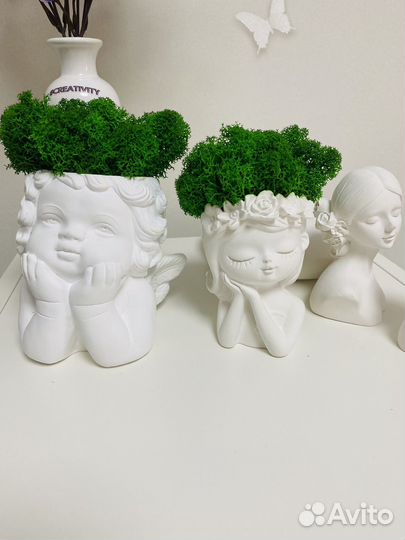 Кашпо Ангелочек + живой мох новое