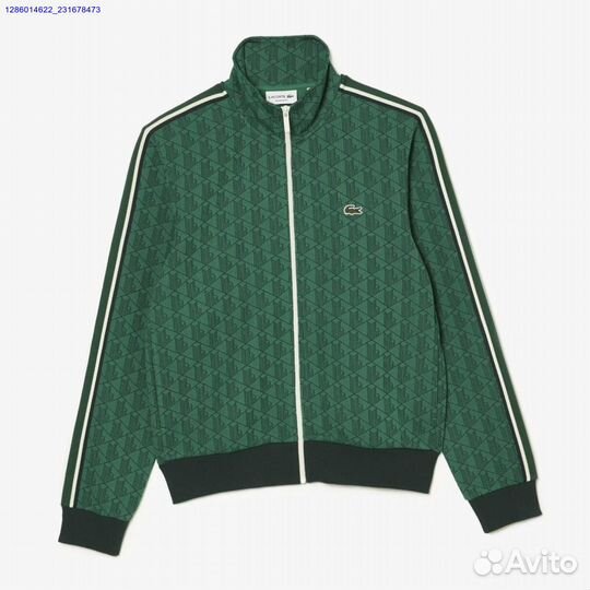 Мужской костюм lacoste (Арт.42717)