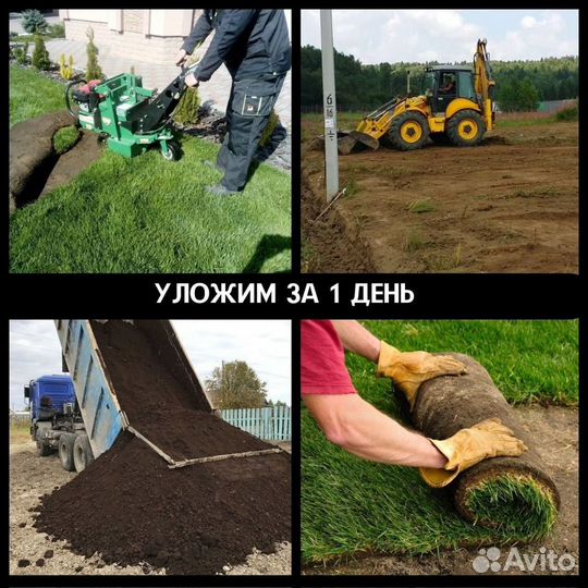 Рулонный газон по всей Москве