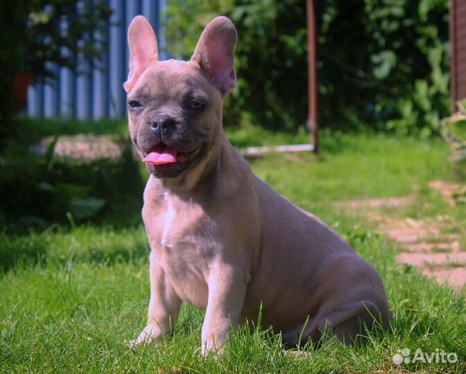 Мальчишка и девчонка