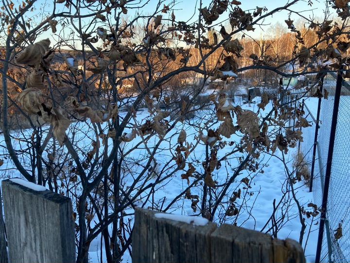 Участок 6,4 сот. (СНТ, ДНП)