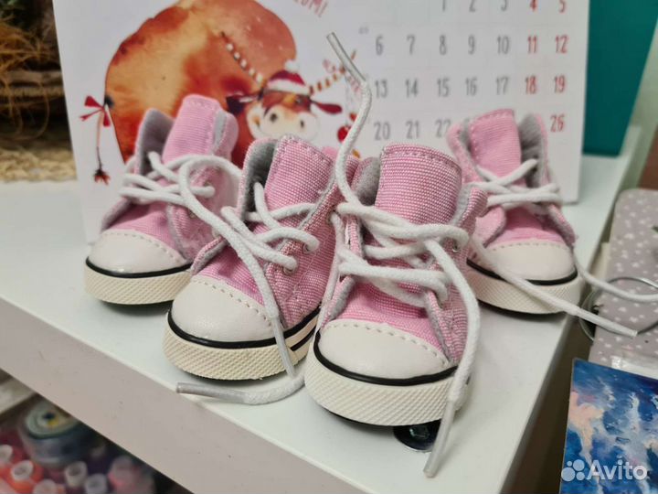 Обувь для маленькой собачки