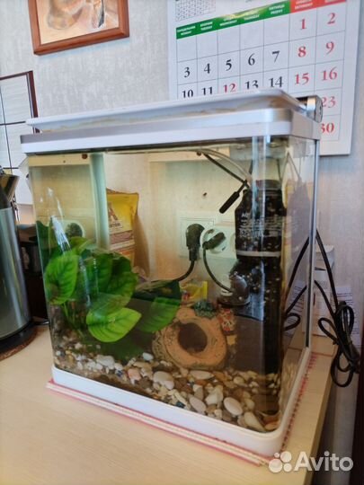 Аквариум 15 литров