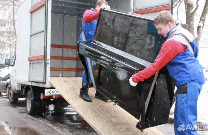 Грузчики Переезды Грузоперевозки Разнорабочие