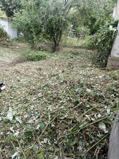 Участок 5 сот. (СНТ, ДНП)