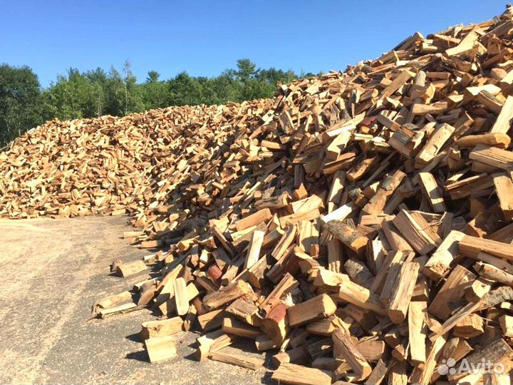 Дрова осиновые