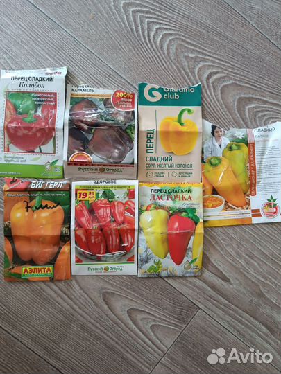 Рассада помидор, перец, капуста, баклажан, огурцы