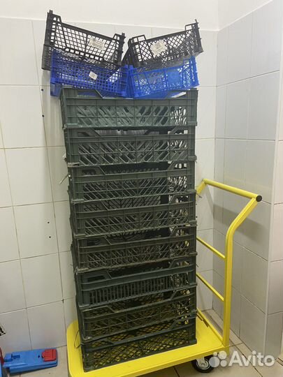 Ящик для овощей/ ящик пластиковый/лоток пищевой