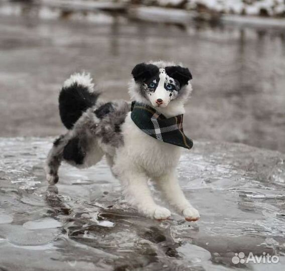 Игрушки ручной работы на заказ по фото питомца