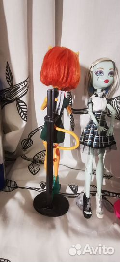 Куклы монстер хай, базовые, коллекция 