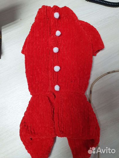 Одежда для собаки