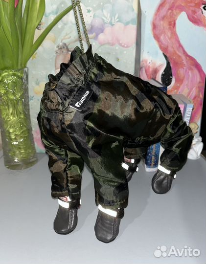 Комбинезон, ботинки, шлейка для собаки