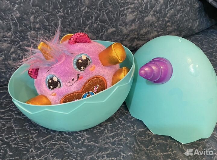 Хаги ваги, медузы двухсторонние