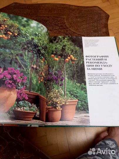 Книги по цветоводству