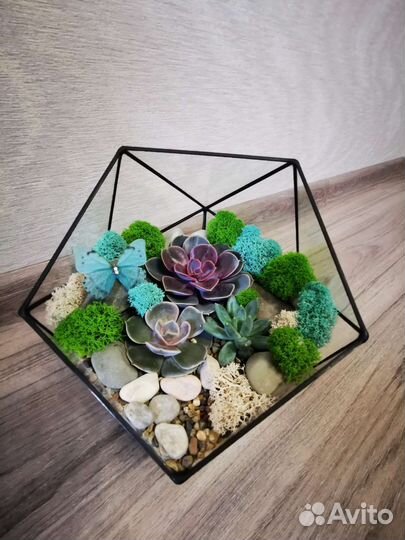 Флорариум в геометрических формах
