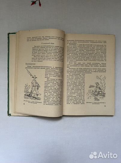 Десна красавица