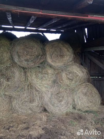 Продам сено в рулонах