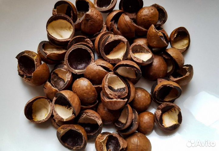 Скорлупу ореха макадамия