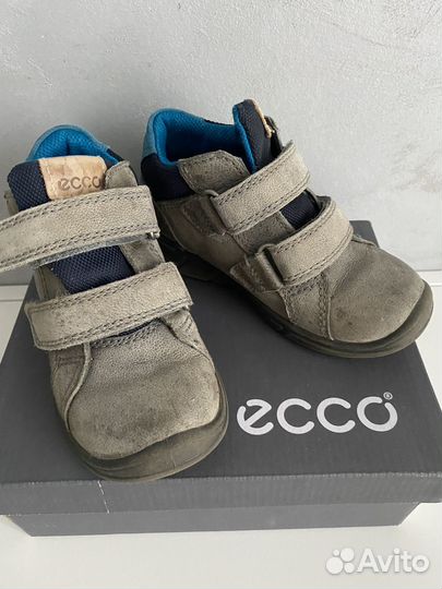 Ботинки на мальчика Ecco 25р