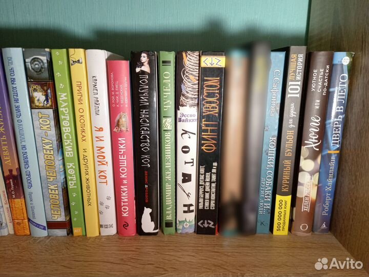 Коллекция редких книг про котов