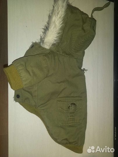 Одежда для собак