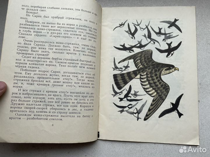 1982 год стрижонок скрип