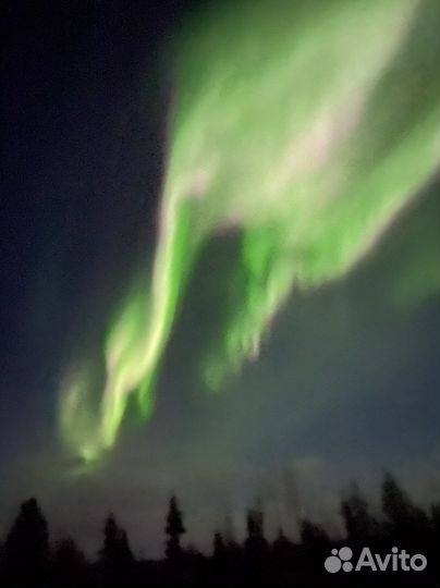 «Охота за Авророй»