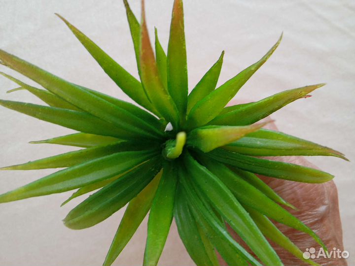 Искусственные цветы суккуленты