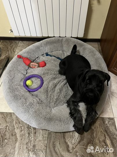 Лежак для собаки бу