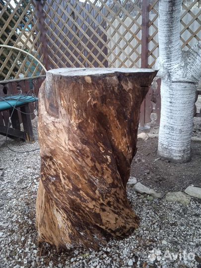 Спил ствола дерева