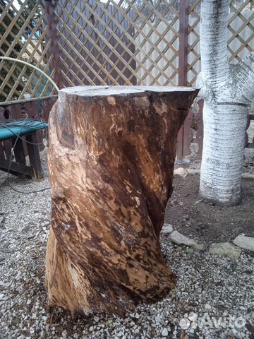 Спил ствола дерева