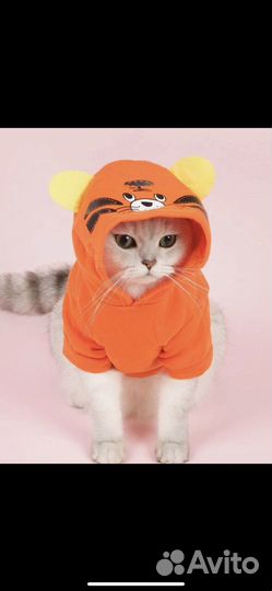 Толстовка для животных мелких пород