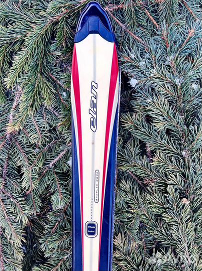 Карвинговые горные лыжи Elan Team Carve