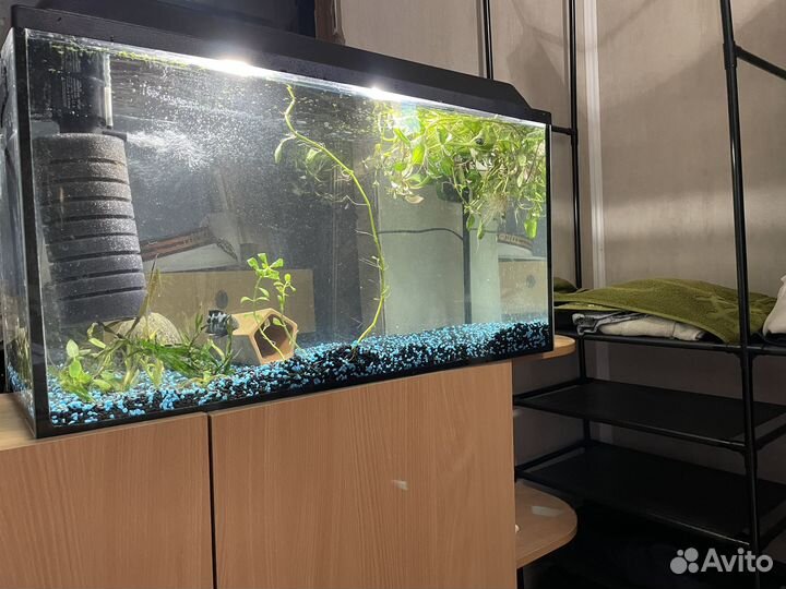 Аквариум