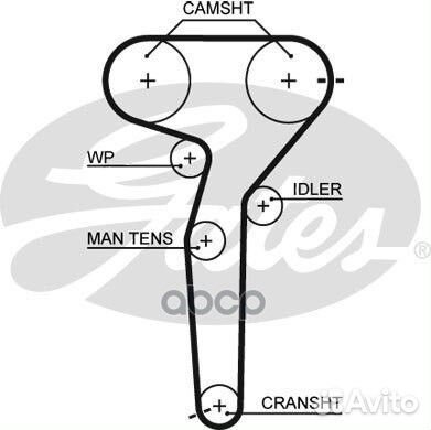 Ремень грм 167 зуб.,24mm 5423XS Gates