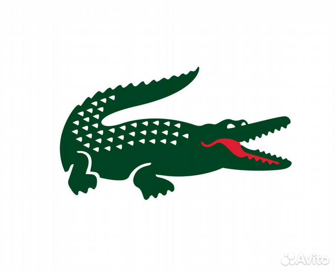 Скидка Lacoste 20%