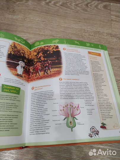 Детская энциклопедия