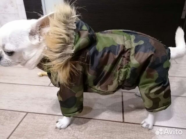 Комбинезон для собак