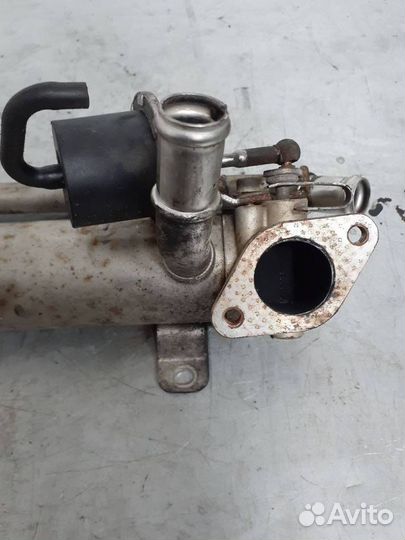 Радиатор EGR Skoda Fabia 2 (5J) 2008 03G131512