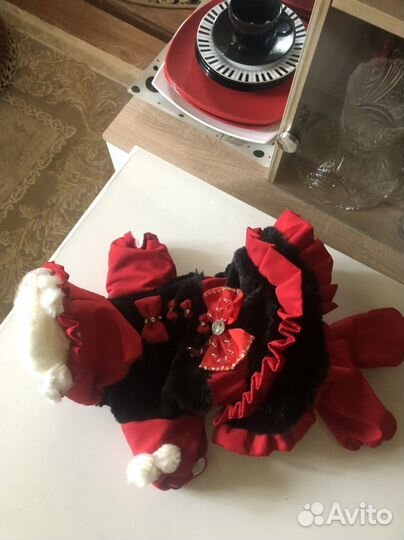 Одежда для собак