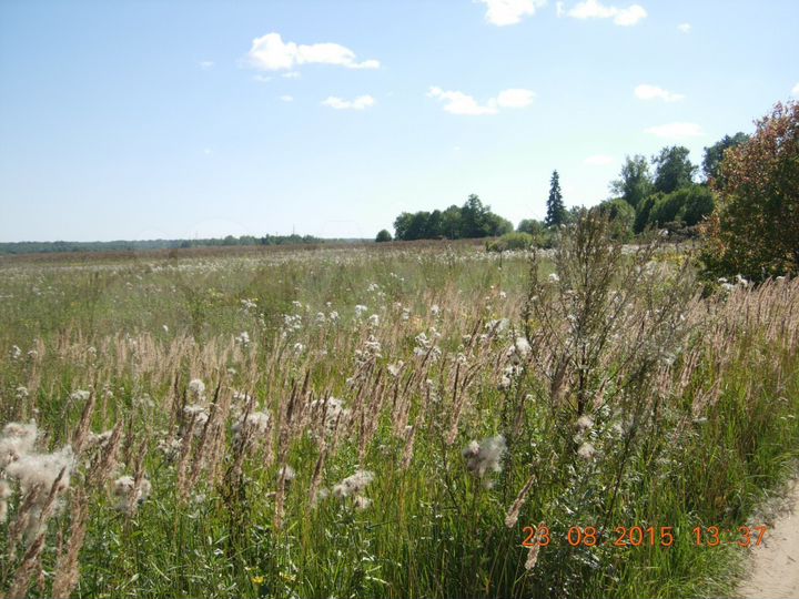 Участок 50 га (СНТ, ДНП)