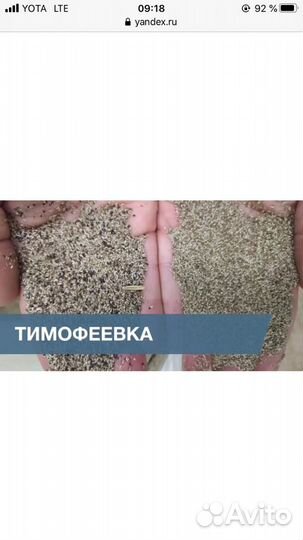 Тимофеевка,клевер,люцерна,горчица