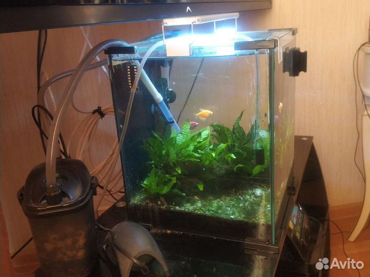 Аквариум