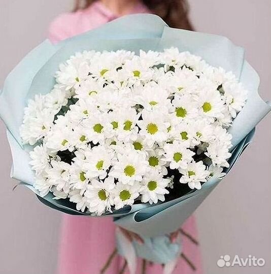 Хризантема Букет хризантем Доставка