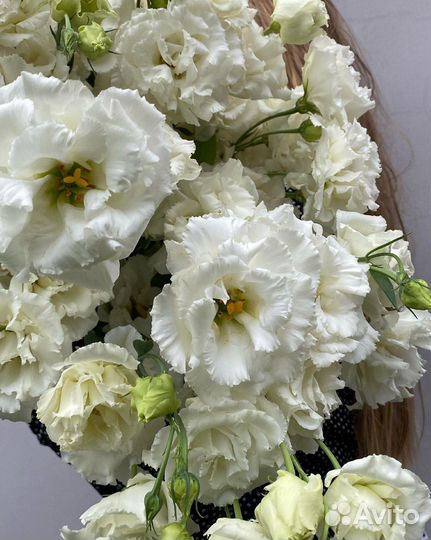 Эустома букет цветов белые