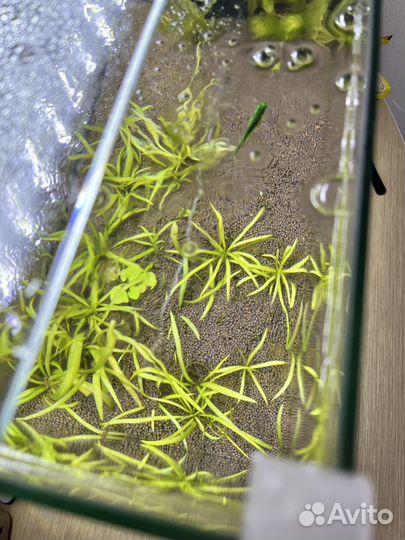 Аквариум 25 л