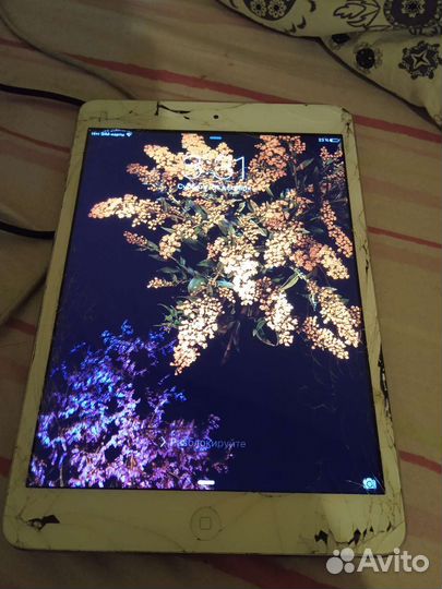iPad mini 1