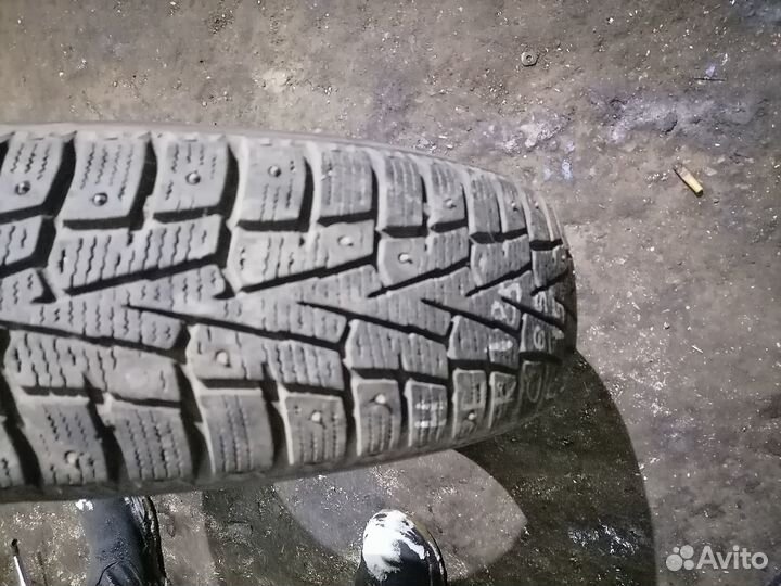 Nexen Winguard Ice 185/65 R15